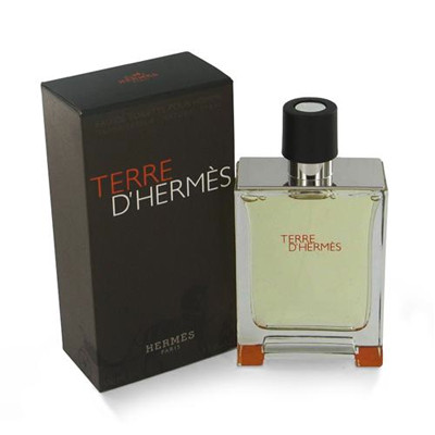 Hermes | Terre d'Hermès 100 ml 